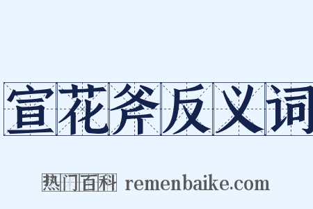 宣花斧反义词是什么意思的图片